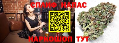 дмт Ставрополь