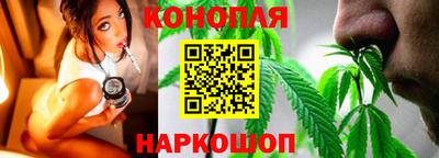 дмт Ставрополь