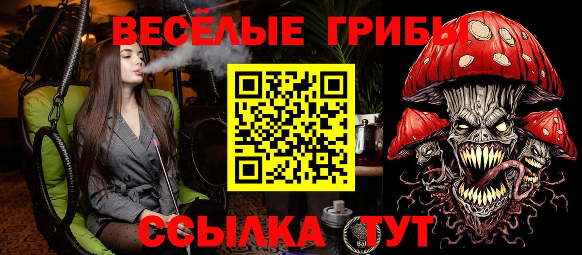Псилоцибиновые грибы Cubensis Белогорск